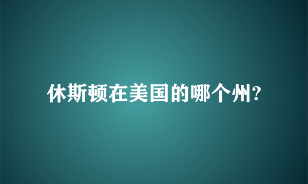 休斯顿在美国的哪个州?