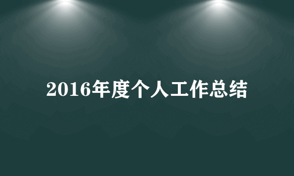 2016年度个人工作总结