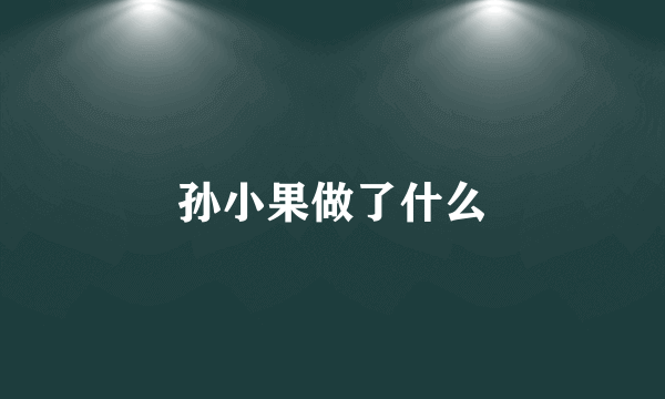 孙小果做了什么