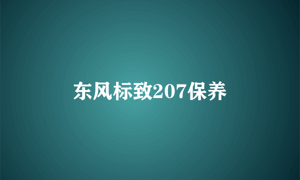 东风标致207保养