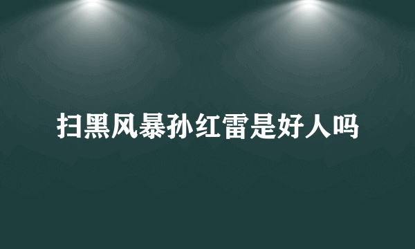 扫黑风暴孙红雷是好人吗