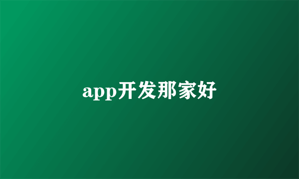 app开发那家好