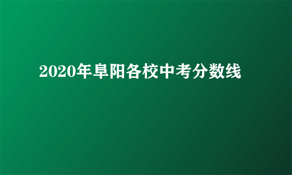 2020年阜阳各校中考分数线