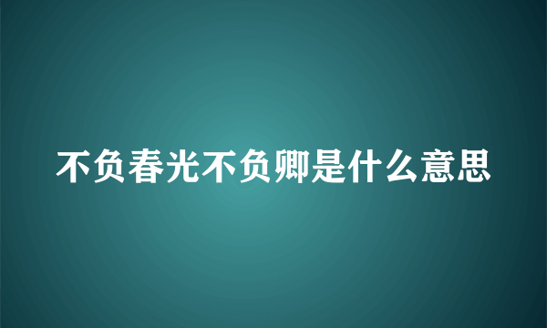 不负春光不负卿是什么意思