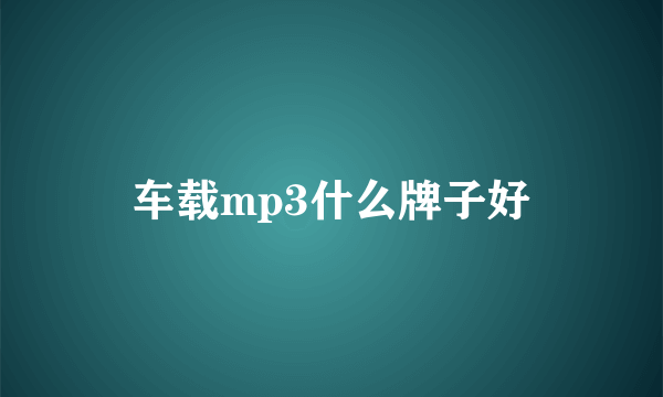 车载mp3什么牌子好