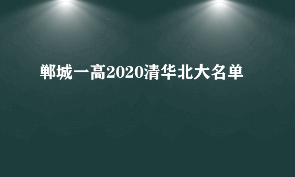 郸城一高2020清华北大名单