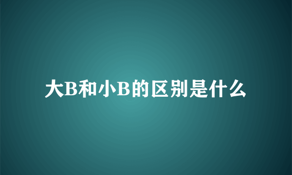 大B和小B的区别是什么