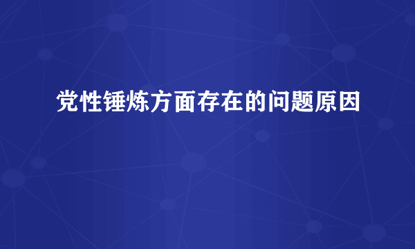 党性锤炼方面存在的问题原因