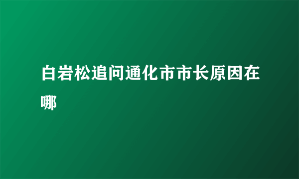 白岩松追问通化市市长原因在哪