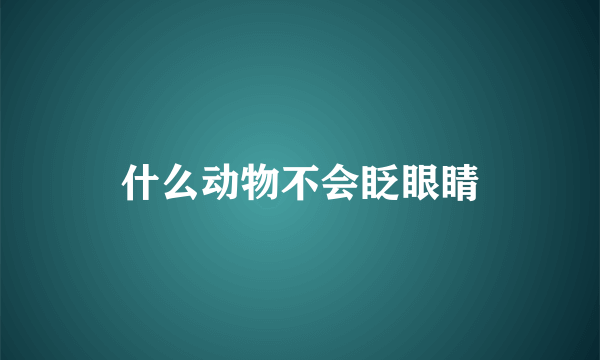 什么动物不会眨眼睛