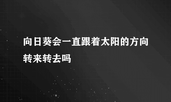 向日葵会一直跟着太阳的方向转来转去吗