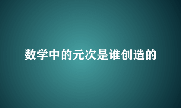 数学中的元次是谁创造的