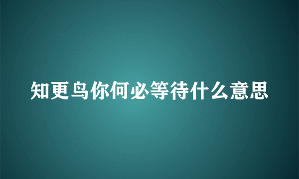 知更鸟你何必等待什么意思