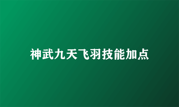 神武九天飞羽技能加点