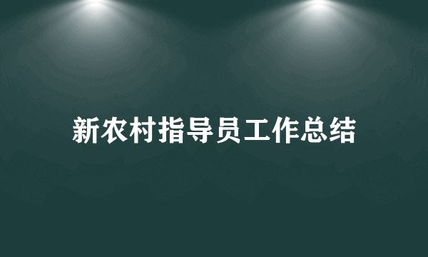 新农村指导员工作总结