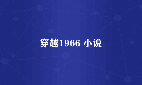 穿越1966 小说