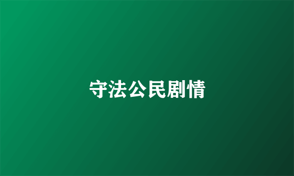 守法公民剧情