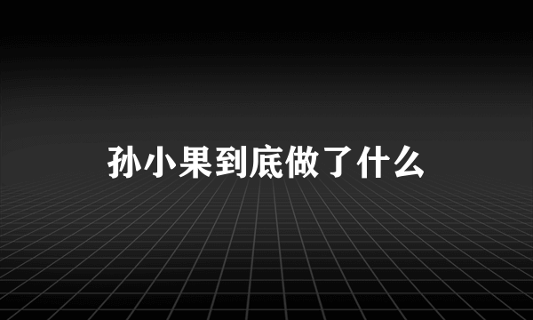 孙小果到底做了什么