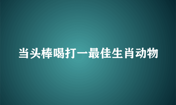 当头棒喝打一最佳生肖动物