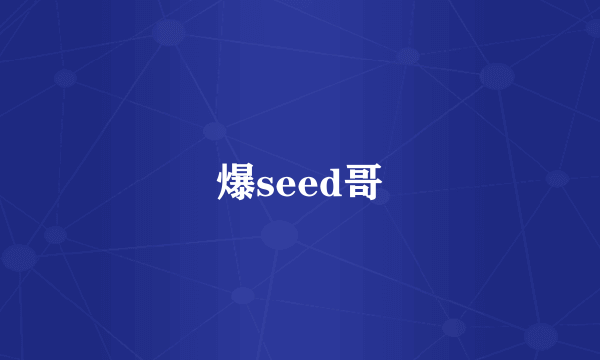 爆seed哥