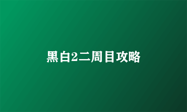 黑白2二周目攻略