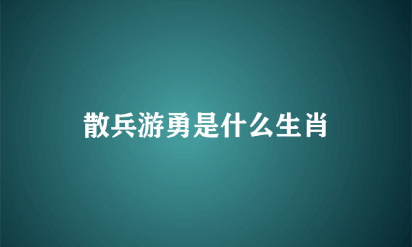 散兵游勇是什么生肖