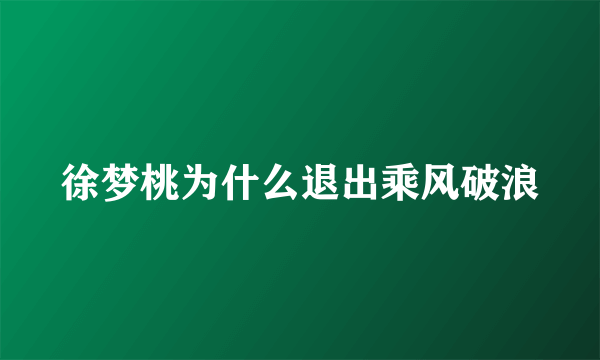 徐梦桃为什么退出乘风破浪