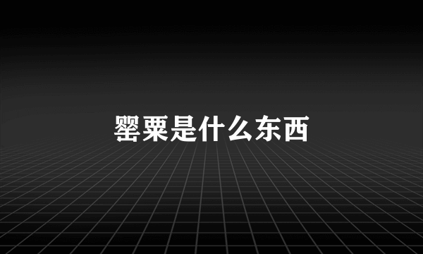 罂粟是什么东西