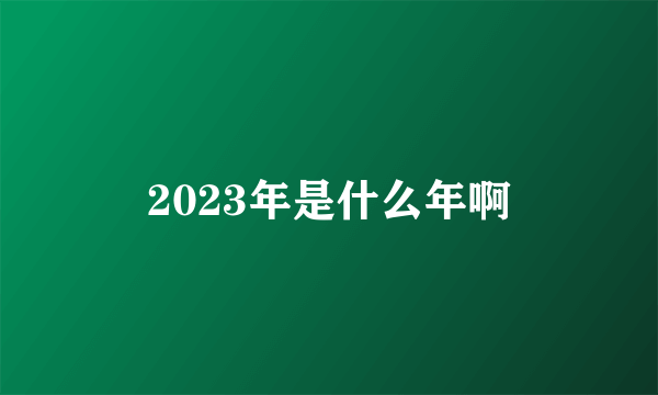 2023年是什么年啊