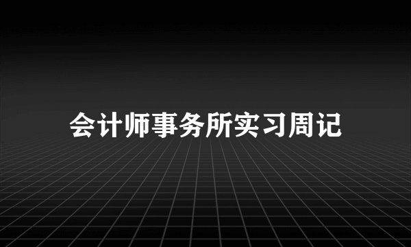 会计师事务所实习周记