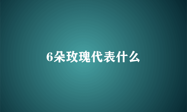 6朵玫瑰代表什么