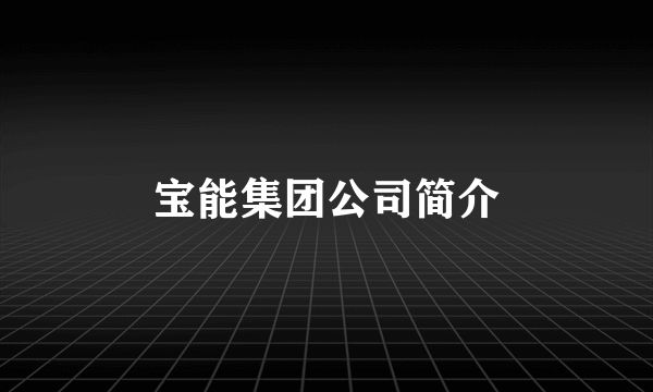 宝能集团公司简介