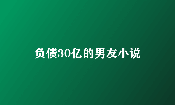 负债30亿的男友小说