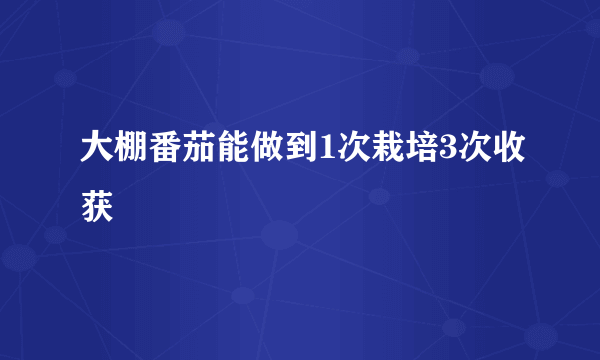 大棚番茄能做到1次栽培3次收获