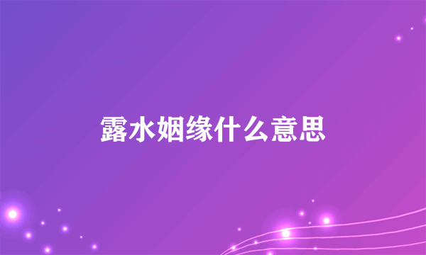 露水姻缘什么意思