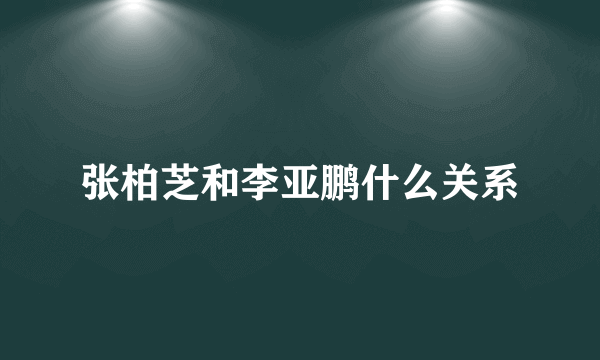 张柏芝和李亚鹏什么关系