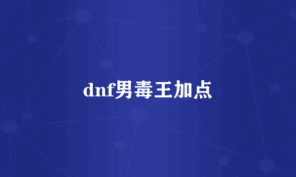 dnf男毒王加点