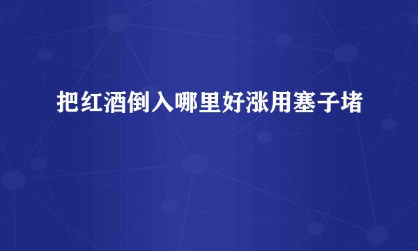 把红酒倒入哪里好涨用塞子堵