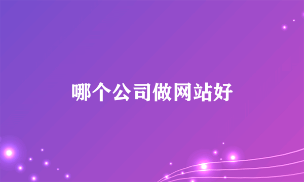 哪个公司做网站好