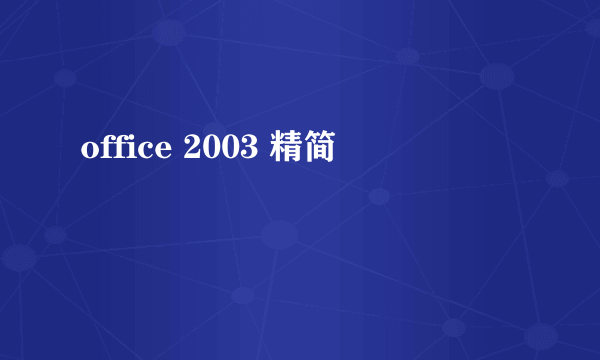 office 2003 精简