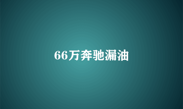 66万奔驰漏油