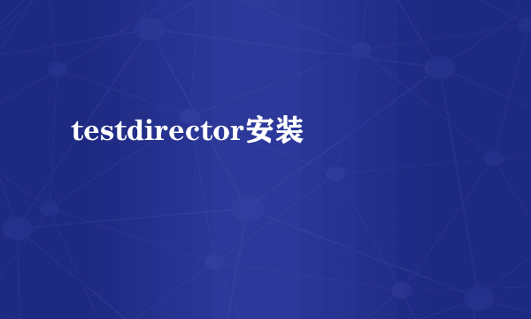 testdirector安装