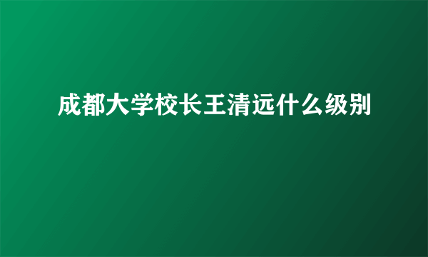 成都大学校长王清远什么级别