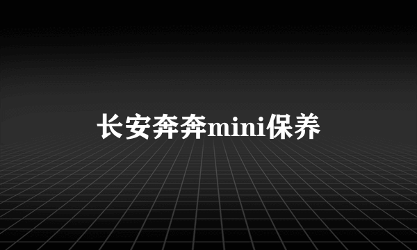 长安奔奔mini保养