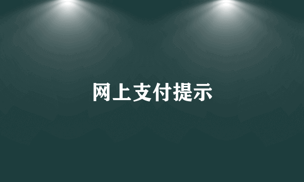 网上支付提示