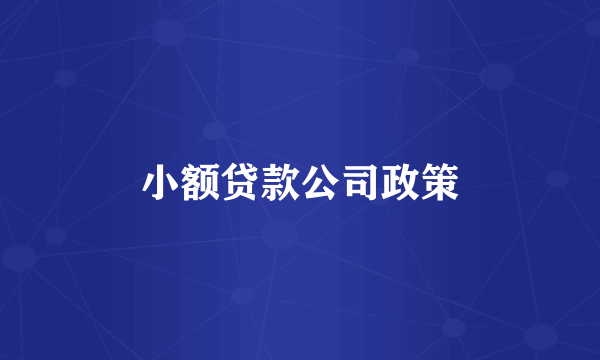 小额贷款公司政策