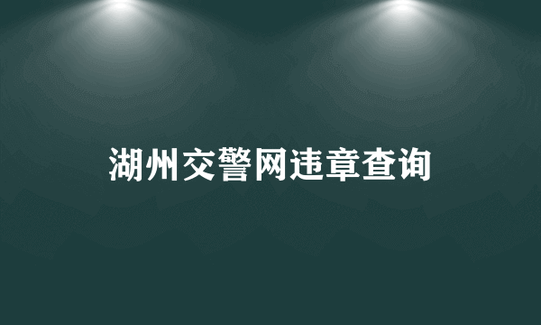 湖州交警网违章查询