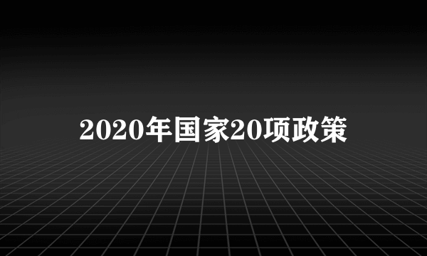 2020年国家20项政策