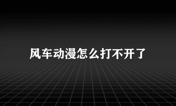 风车动漫怎么打不开了