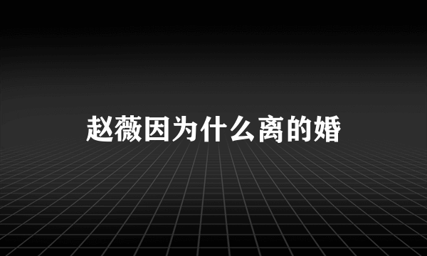 赵薇因为什么离的婚